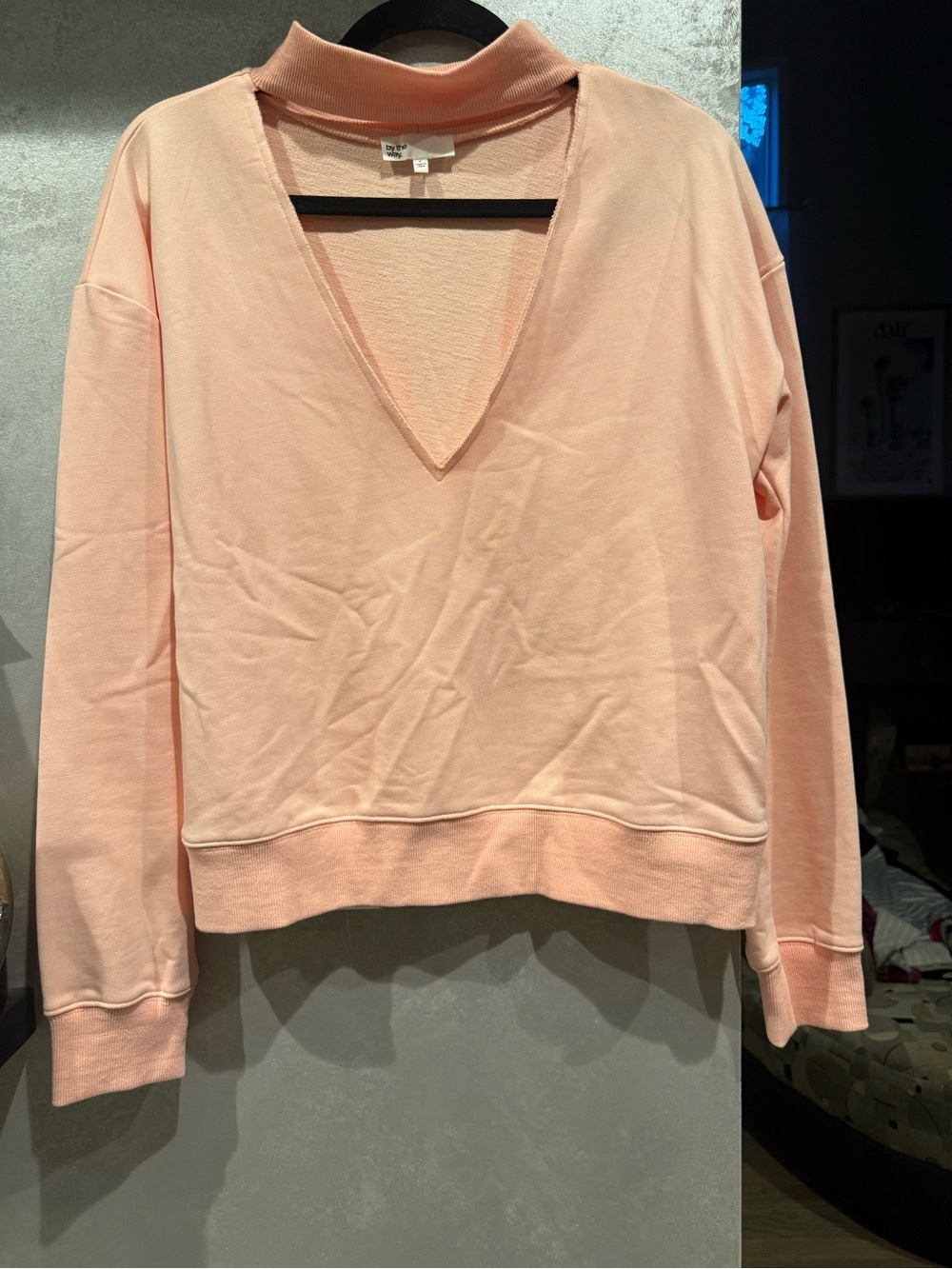by the way. Light Peach V-Neck Pullover Sweater